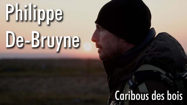 Philippe De-Bruyne avec les caribous de Terre-Neuve