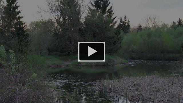 Ancien Fer De Lance (concert) Pour La Pêche En Eau Douce, En Fonte Peinte, 28 Pouces - Vintage